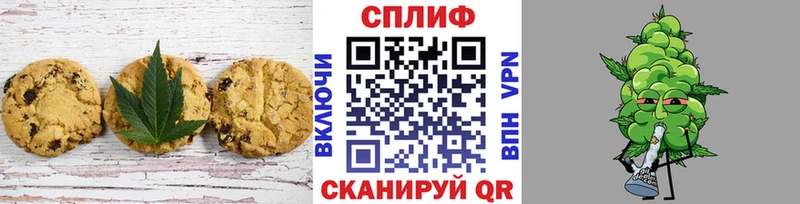 Canna-Cookies марихуана  Купить закладки  Кизляр 