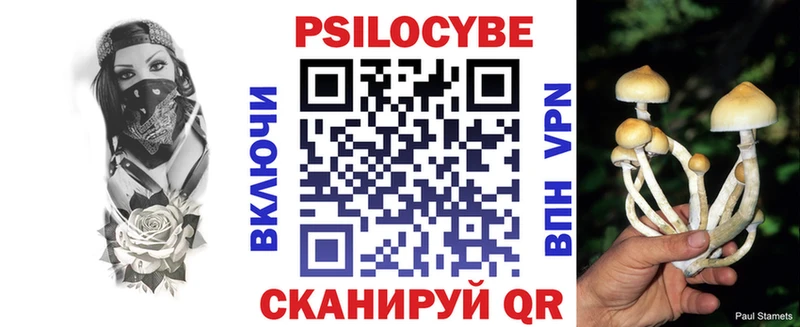 Псилоцибиновые грибы ЛСД  Купить где  Кизляр 